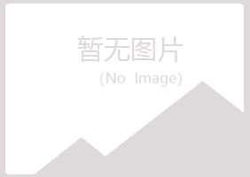 日照山柏能源有限公司